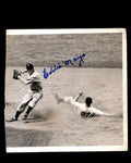 Eddie Mayo Signed 1942 5x7 Detroit Tigers Original Wire Photo Autograph