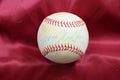 Jerome Walton Autograph National League ONL Signed Baseball
