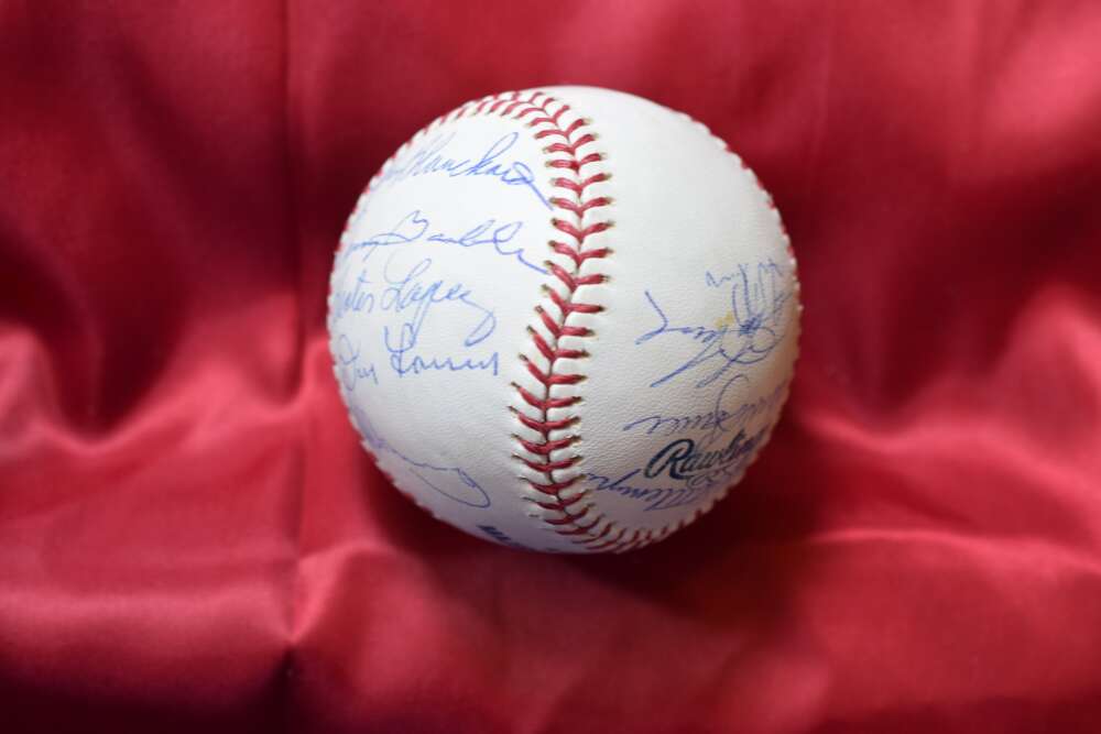 Don Larsen Moose Skowron Hank Bauer Goose Gossage Autograph Major League OML Baseball Signed by 18