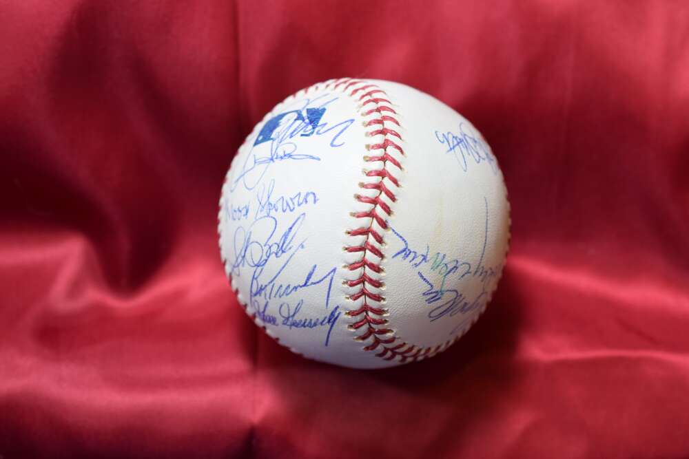 Don Larsen Moose Skowron Hank Bauer Goose Gossage Autograph Major League OML Baseball Signed by 18