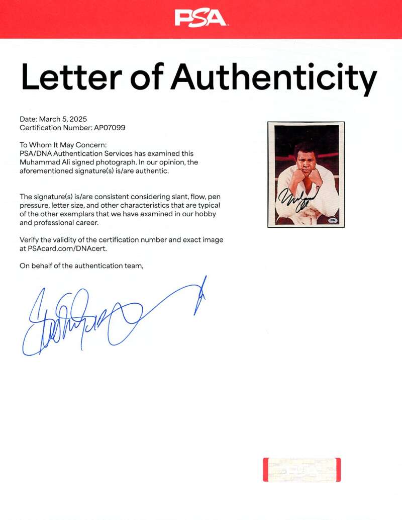 Muhammad Ali PSA DNA Loa Signed Vintage 8x10 Photo Autograph