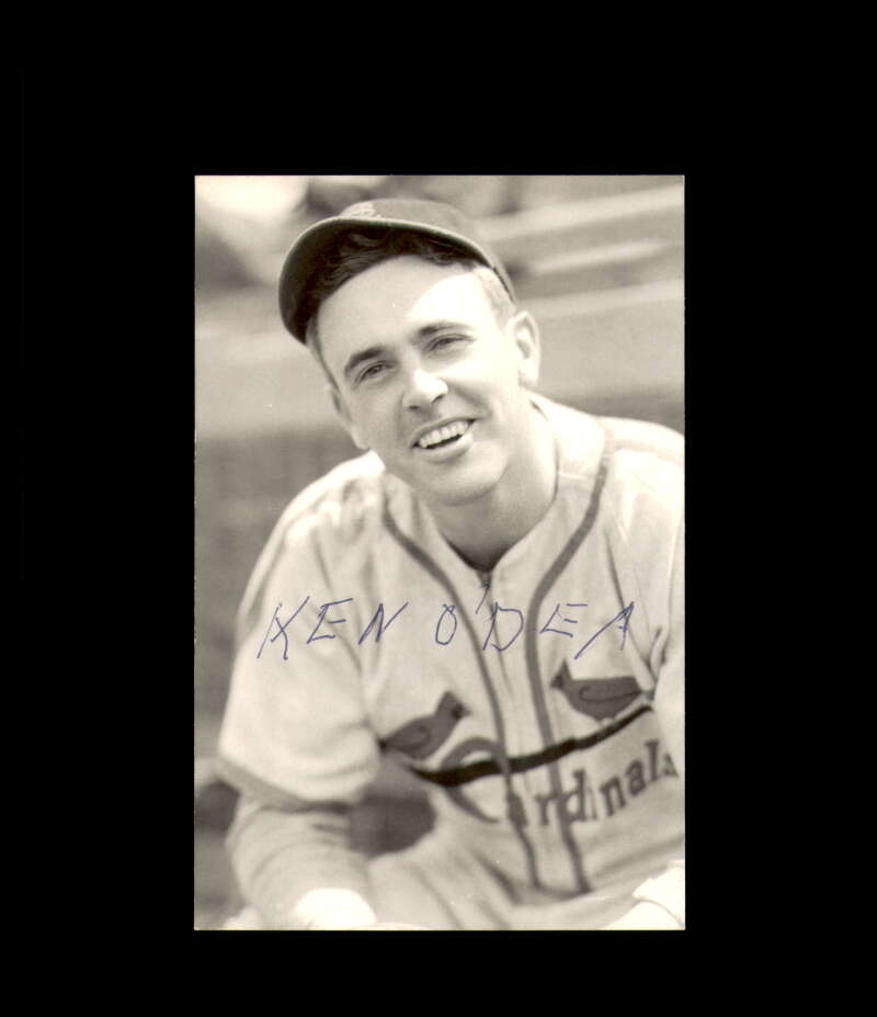 Ken O'Dea Signed Photo Postcard St. Louis Cardinals Autographed