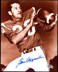 Gino Cappelletti PSA DNA Autographed 8x10 Photo Signed
