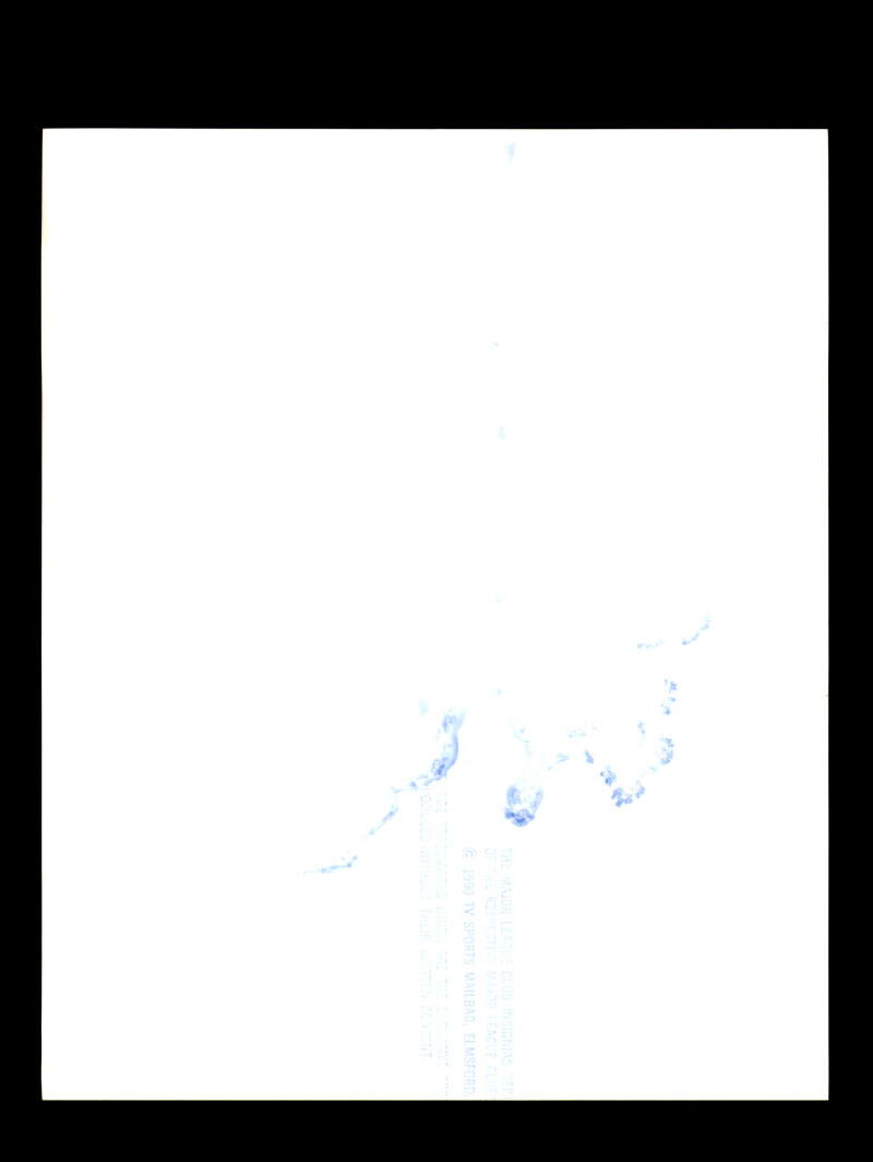 Sandy Alomar Jr Signed 8x10 Photo Autograph Cleveland