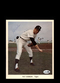Pat Dobson JSA Coa Signed 7x9 Team Issued Photo Autograph Tigers