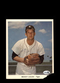 Mickey Lolich JSA Coa Signed 7x9 Team Issued Photo Autograph Tigers