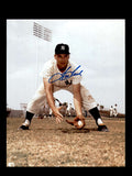 Tom Tresh Signed 8x10 Photo Autograph Yankees
