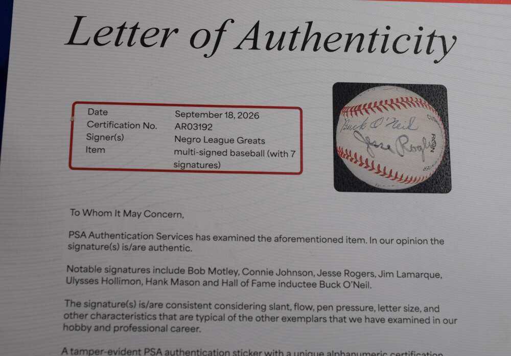 Negro League Greats PSA DNA Loa Autograph National League Signed by 7 Baseball ONL