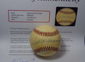 Ted Williams PSA DNA Loa Autograph American League Signed Baseball OAL