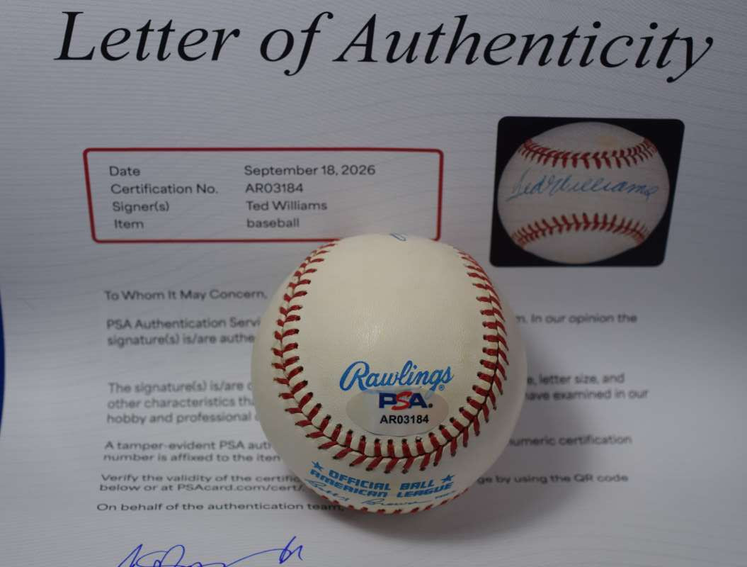 Ted Williams PSA DNA Loa Autographed American League Signed Baseball OAL