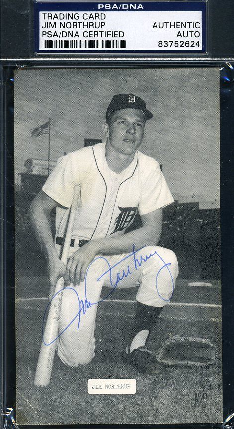 Jim Northrup Psa/dna Authentic Signed 1960`s Tigers Postcard Autograph