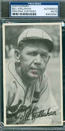 Bill Hallahan Signed Goudey Premium Psa/dna Autograph Authentic